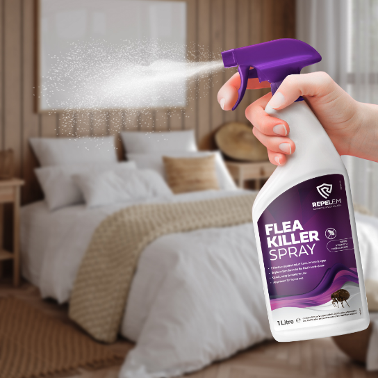 Insect Killer Sprays